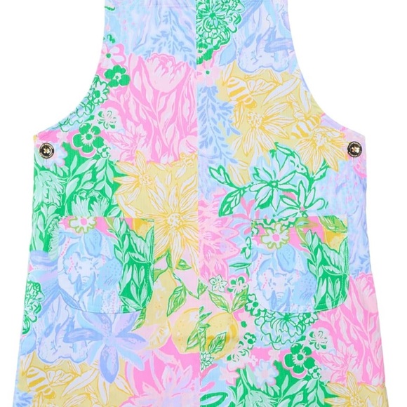 Lilly Pulitzer Other - Lilly Pulitzer Varney Dress NWT